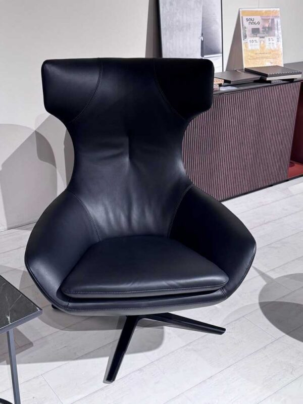 Leolux | Caruzzo | fauteuil